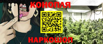 Альфа ПВП Аргун